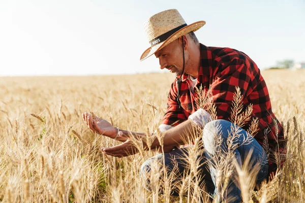 Изображение Сфокусированного Взрослого Мужчины Соломенной Шляпе Изучающего Урожай Зерновом Поле — стоковое фото