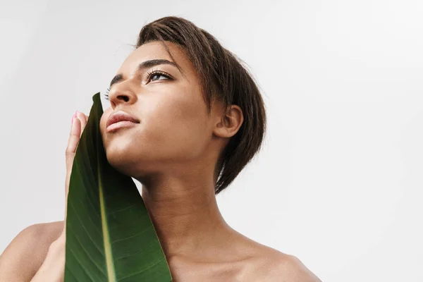 Bild Von Hemdlosen Afrikanisch Amerikanischen Frau Posiert Mit Grünem Blatt — Stockfoto