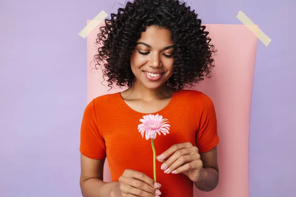 Bild Von Lächelnden Afrikanisch Amerikanischen Frau Posiert Mit Blume Isoliert — Stockfoto