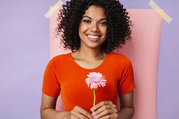 Bild Von Lächelnden Afrikanisch Amerikanischen Frau Posiert Mit Blume Isoliert — Stockfoto