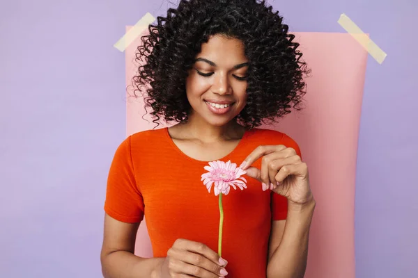 Bild Von Lächelnden Afrikanisch Amerikanischen Frau Posiert Mit Blume Isoliert — Stockfoto