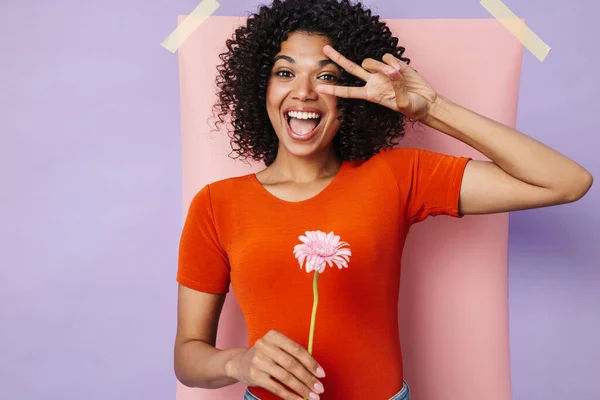 Image African American Woman Gesturing Peace Sign While Posing Flower — Stock Photo, Image