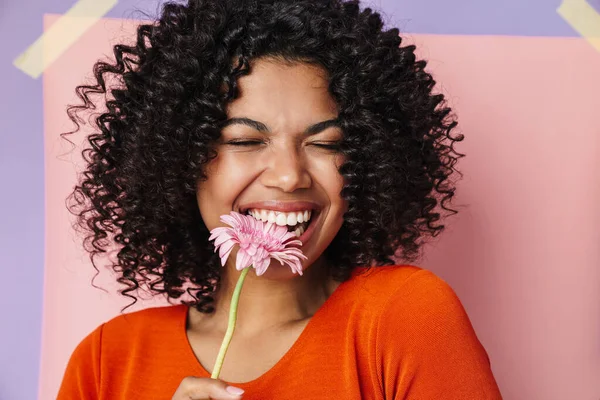 Obrázek Veselé Africké Američanky Usmívající Při Kousání Květiny Izolované Přes — Stock fotografie