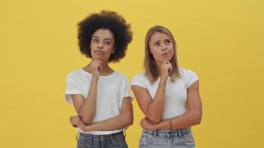 Oldukça hoş kadınlar sarı arka planda izole bir şekilde duran bir şey düşünüyorlar.