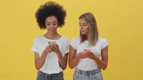見た目のいい女は友人のスマートフォンを覗き見てる黄色の背景に隔離されてる — ストック動画