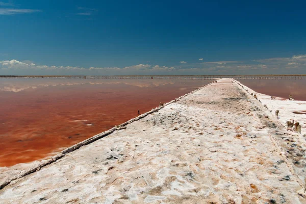Salt road on a pink lake