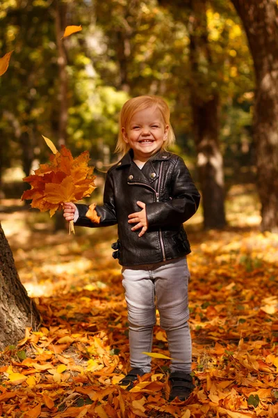 穿皮夹克的小女孩 在秋季公园玩耍 — 图库照片
