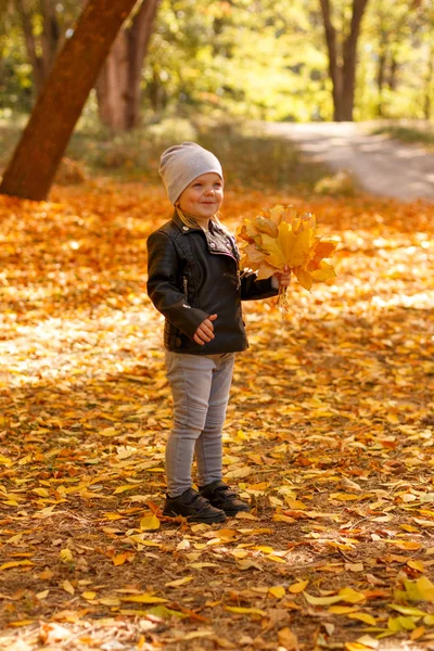 穿皮夹克的小女孩 在秋季公园玩耍 — 图库照片