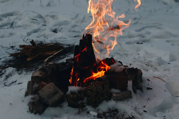 Bonfire Зимовому Лісі Снігом Фоні — стокове фото