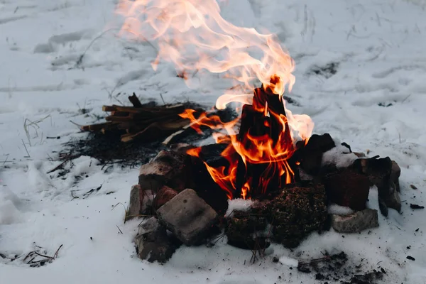 在冬天森林的篝火与雪在背景 — 图库照片