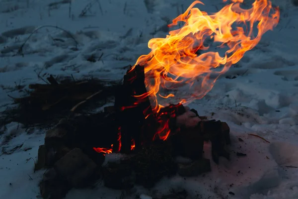 Bonfire in the winter forest with snow on the background