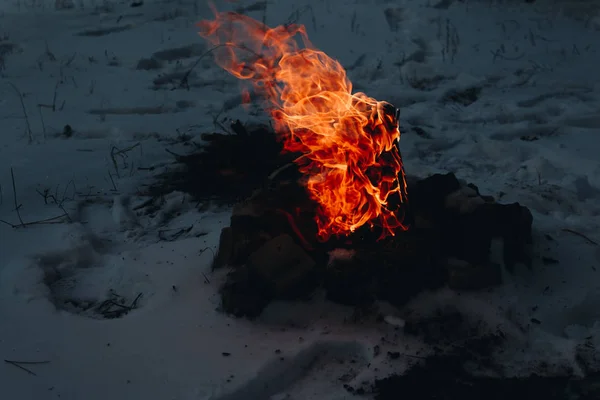 在冬天森林的篝火与雪在背景 — 图库照片