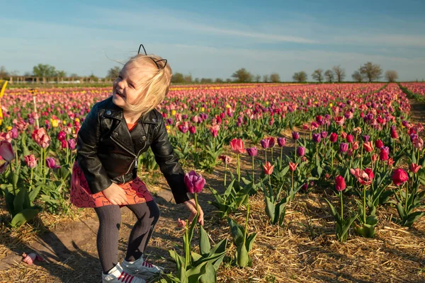 Schattig klein meisje op het veld met kleurrijke tulpen — Stockfoto