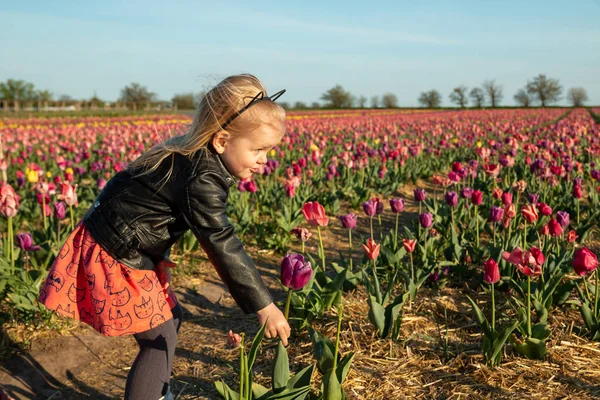 Aranyos kislány a pályán a színes tulipánok — Stock Fotó