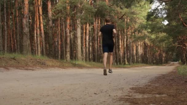 Młody Człowiek Biegnie Lesie — Wideo stockowe