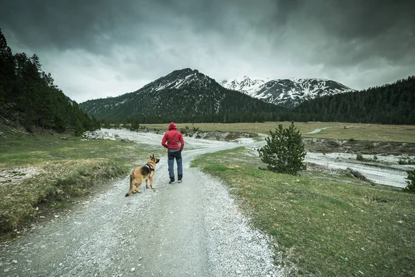 Hombre Perro Viajando Por Carretera Rural Suiza — Foto de Stock