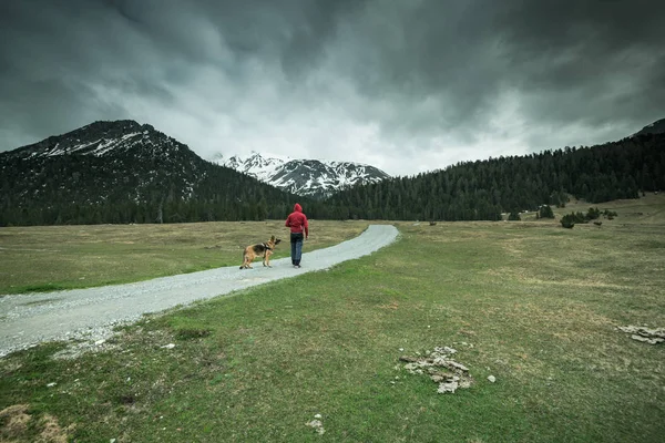 Hombre Con Perro Trekking Montañas Suiza — Foto de Stock