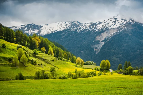 Yaz Boyunca Nefes Kesen Manzarası Alp Sviçre Renkler — Stok fotoğraf