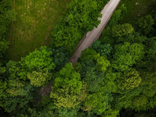 Blick Von Oben Auf Landstraße Wald Drohne Aus Der Luft — Stockfoto