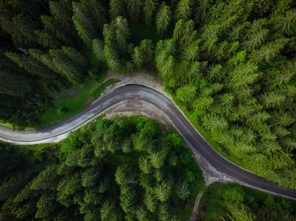 Winding Road Forest Aerial Drone View Road Trip Concept — Stock Photo, Image