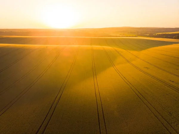 Luchtfoto Drone Uitzicht Landerijen Velden Regio Moravië Tsjechië — Stockfoto