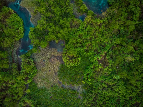 Yukarıdan aşağıya Zelenci rezerv, Slovenya üzerinden havadan görünümü.