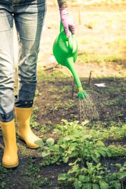 Dövmeli kadın watring bitkilerde Bahçe wellies giyiyor.