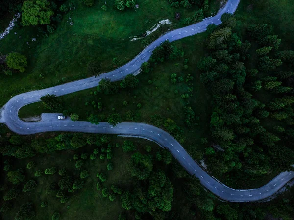トップダウン ビューのフォレスト 空中ドローンの田舎道 — ストック写真