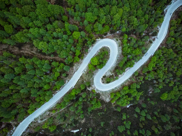 Gekrümmte Straße Durch Wald Vogelauge Drohne Luftaufnahme — Stockfoto