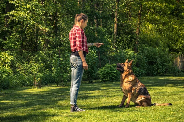 Mujer Joven Entrenar Perro Pastor Alemán Para Sentarse Imagen Tonificada —  Fotos de Stock