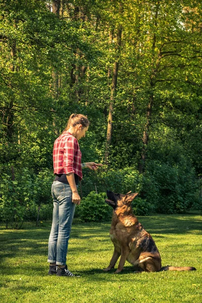 Young Casual Woman Teching Dog Sit Garden — Stock Photo, Image