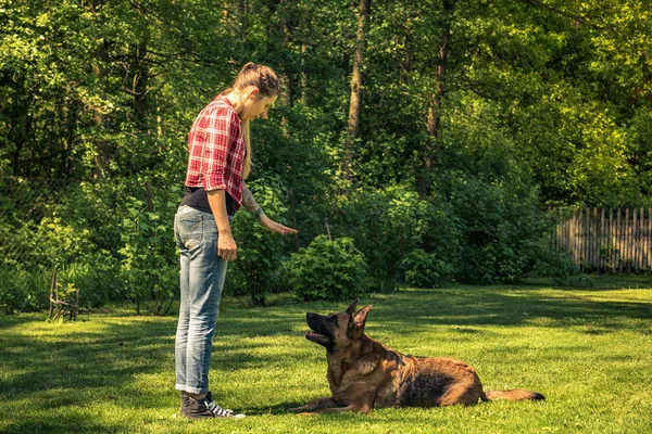 Joven Mujer Decir Perro Acostarse Hierba Entrenamiento Obediencia —  Fotos de Stock