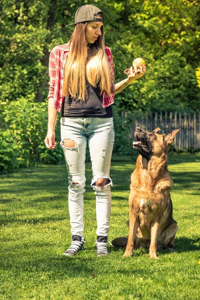 German shepherd obedience training session in garden.