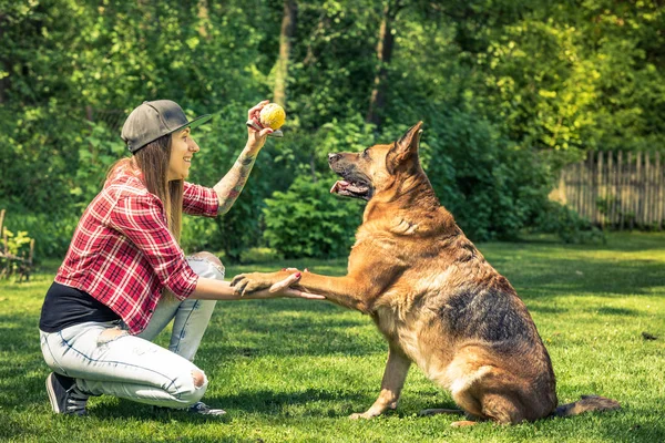 Γυναίκα Σκυλί Φιλία Ιδιοκτήτης Και Κατοικίδιο Ζώο — Φωτογραφία Αρχείου