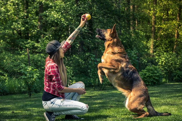 Salto Cão Para Bola Amizade Com Proprietário — Fotografia de Stock