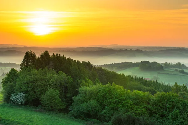 Champs Verts Lever Soleil Dans Brume — Photo