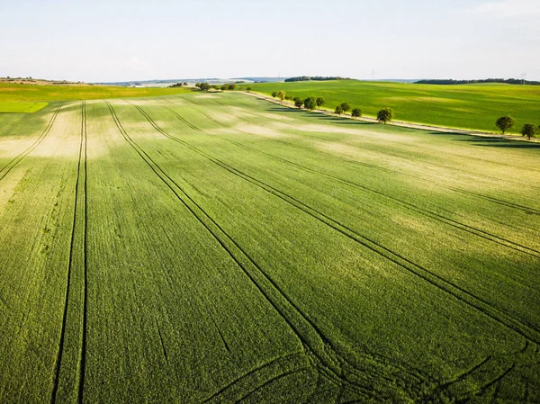 Luchtfoto Drone Uitzicht Glooiende Heuvels Akkers — Stockfoto