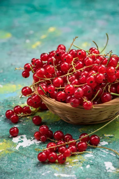 Basket Fresh Ripe Redcurrant — Stock Photo, Image