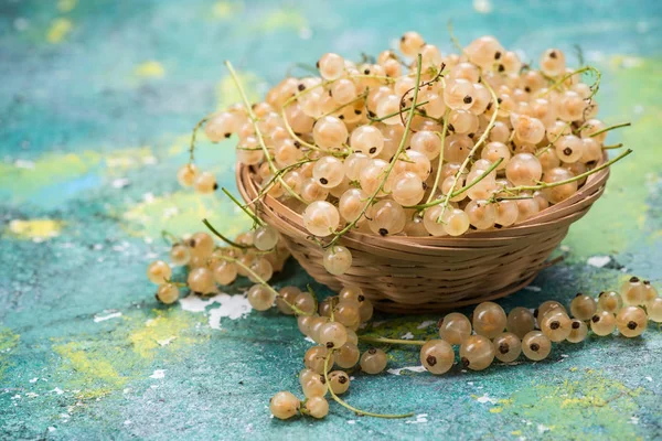 Sepet içinde taze olgun beyaz frenk üzümü.