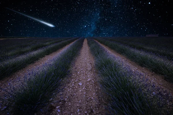 Perseid Meteor Shower Milky Way Lavender Fields Provence France — Stock Photo, Image