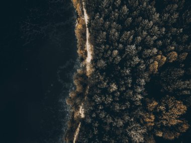 Turuncu düşmek woodland, yukarıdan aşağıya dron görünümü.