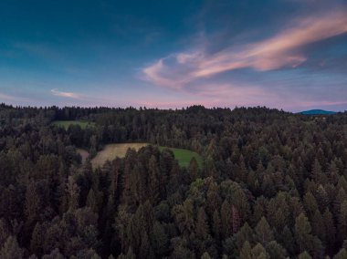 Woodlan, hava uçak görünümü üzerinden günbatımı