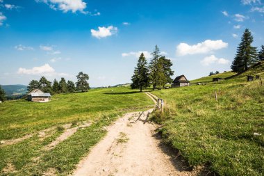 Ahşap çobanlara giden yol dağlardaki kulübeye, Pieniny, Polonya