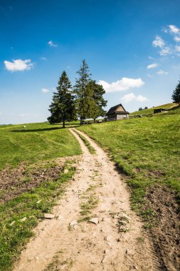 Ahşap çobanlara giden yol dağlardaki kulübeye, Pieniny, Polonya