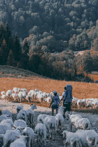 Jovem Casal Com Bebê Caminhadas Nas Montanhas — Fotografia de Stock