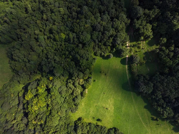 Floresta Verde Colinas Pieniny Polônia Vista Aérea Drones — Fotografia de Stock