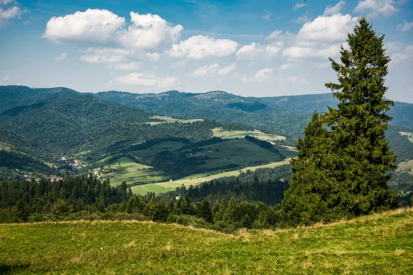 Vista Panorámica Las Montañas Pieniny Polonia Hora Verano — Foto de Stock