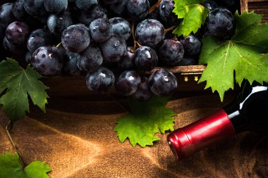 Taze hasat üzüm ve kırmızı şarap.