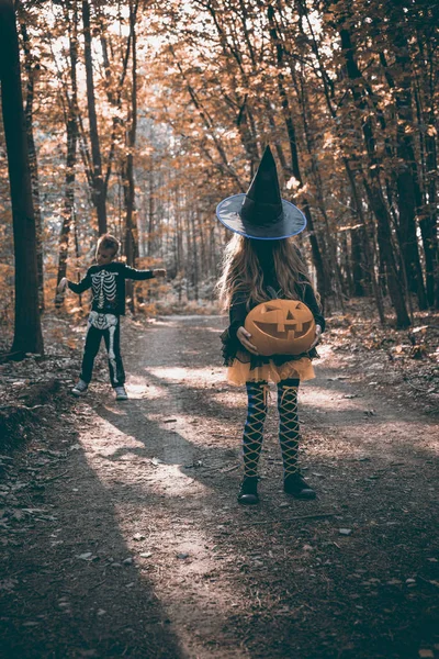 Bruja Halloween Niños Pequeños Bosque — Foto de Stock