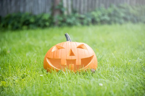 Halloween Kürbis Auf Gras Garten — Stockfoto